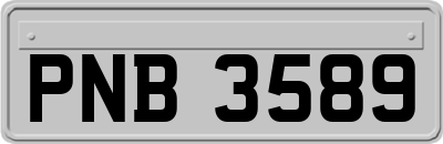 PNB3589
