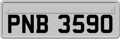 PNB3590