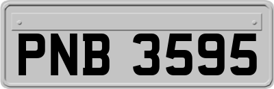 PNB3595
