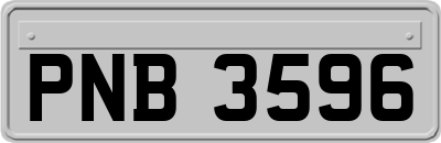 PNB3596