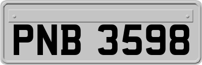 PNB3598
