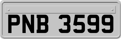 PNB3599