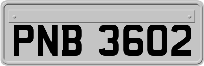 PNB3602