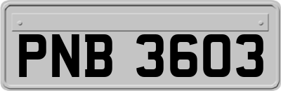 PNB3603