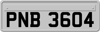 PNB3604