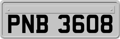 PNB3608
