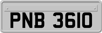 PNB3610