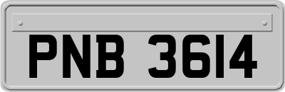 PNB3614