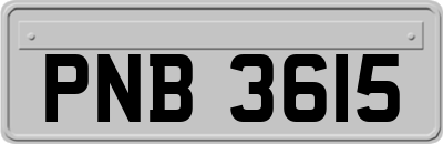 PNB3615