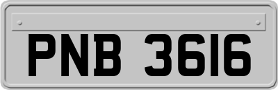 PNB3616