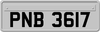 PNB3617