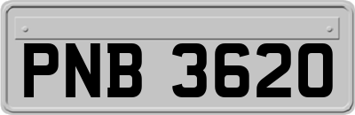 PNB3620