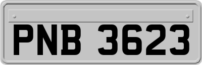 PNB3623