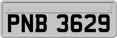 PNB3629
