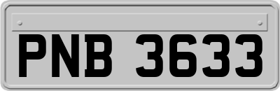 PNB3633