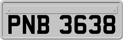 PNB3638