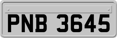 PNB3645