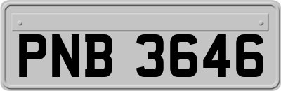 PNB3646