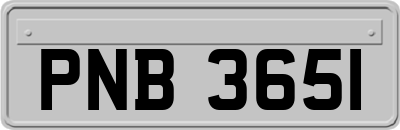 PNB3651