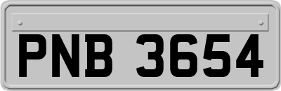 PNB3654