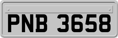 PNB3658