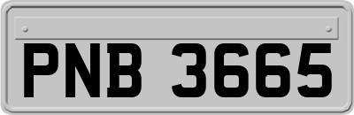 PNB3665