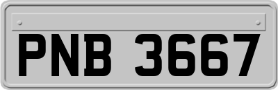 PNB3667