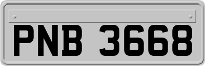 PNB3668