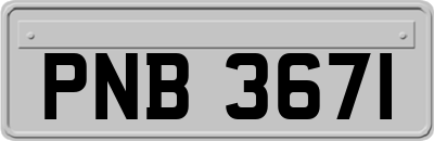 PNB3671