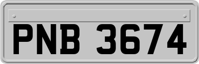 PNB3674