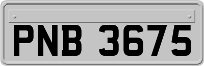 PNB3675