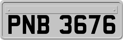 PNB3676