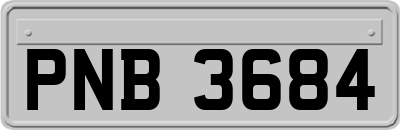 PNB3684