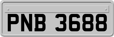 PNB3688