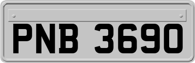 PNB3690