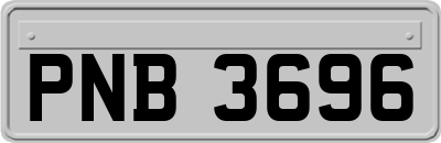 PNB3696