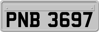 PNB3697