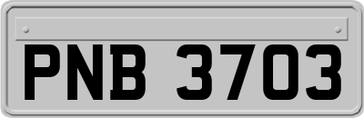 PNB3703