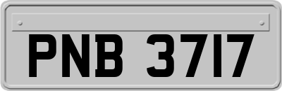 PNB3717