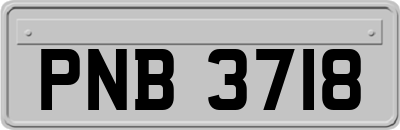 PNB3718