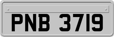 PNB3719