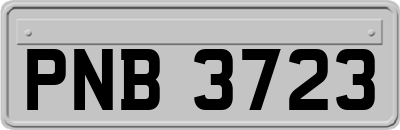 PNB3723