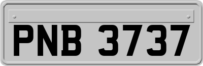 PNB3737