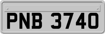 PNB3740