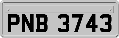 PNB3743