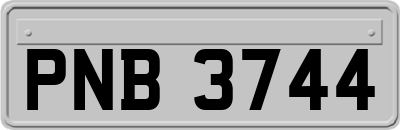 PNB3744