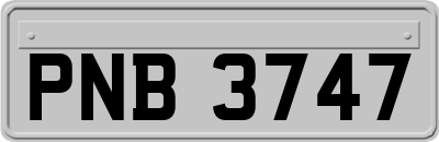 PNB3747