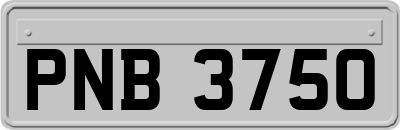 PNB3750