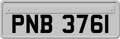 PNB3761