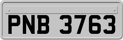 PNB3763